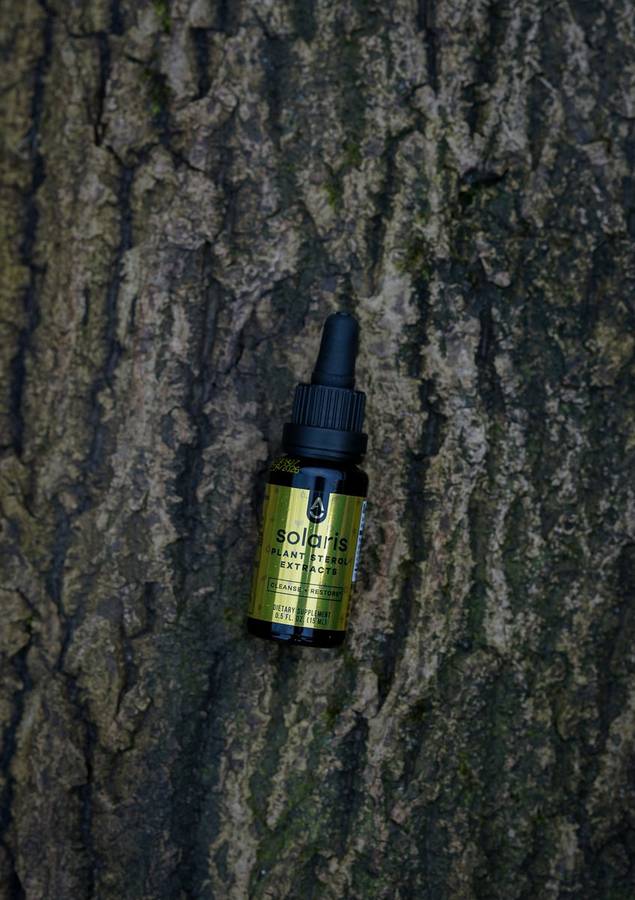 Solaris on weathered tree bark