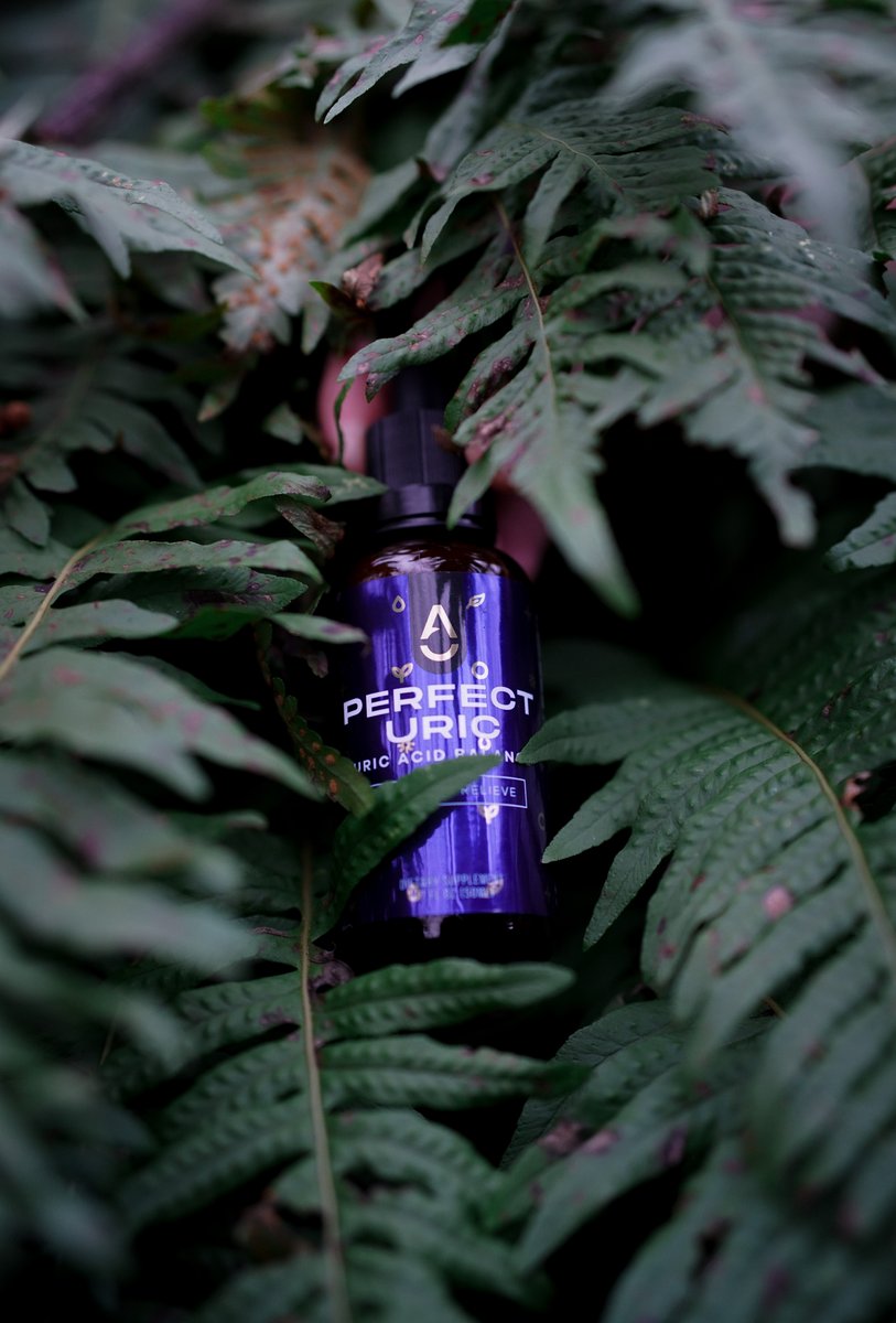 Perfect Uric among wild ferns